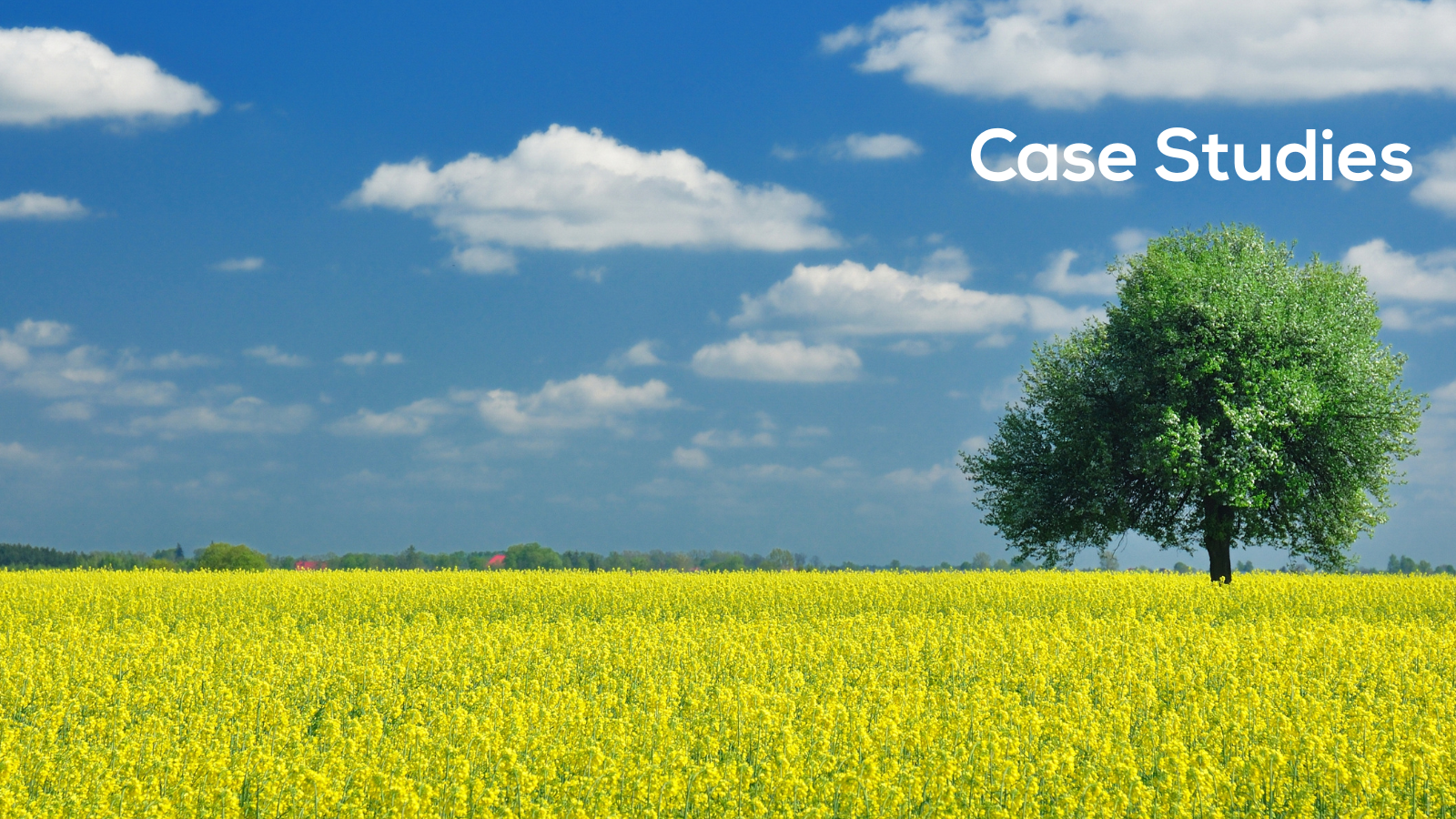 Use Case Hero 061325 Photo Credit: Canva