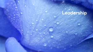 PS Hero for Leadership 1600 x900 v3 061025 Photo Credit: Canva